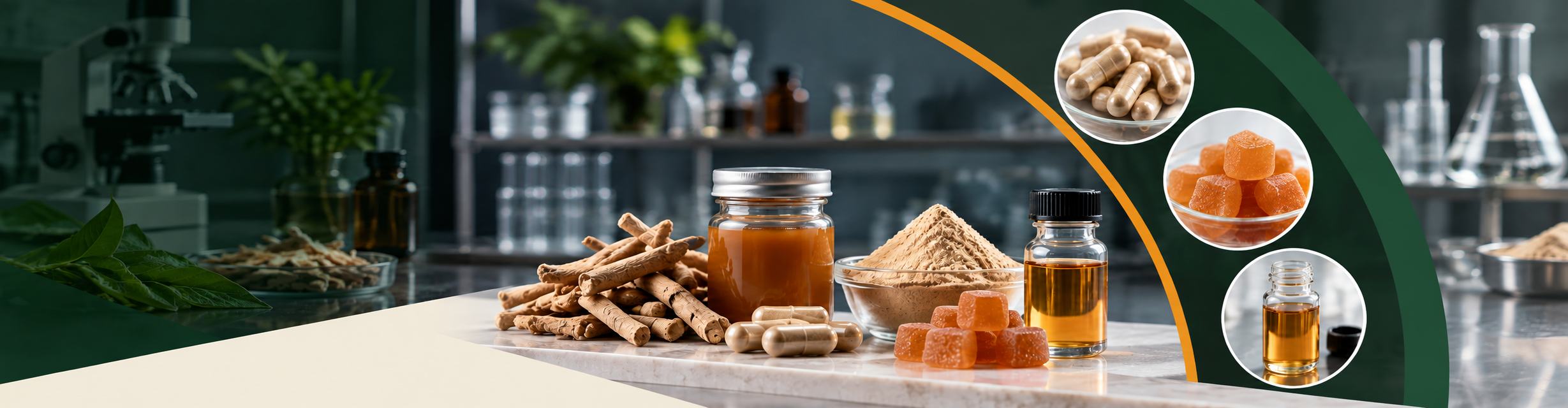 Ashwagandha Supplement Manufacturer: Capsule, Gummy, Powder and Liquid Options