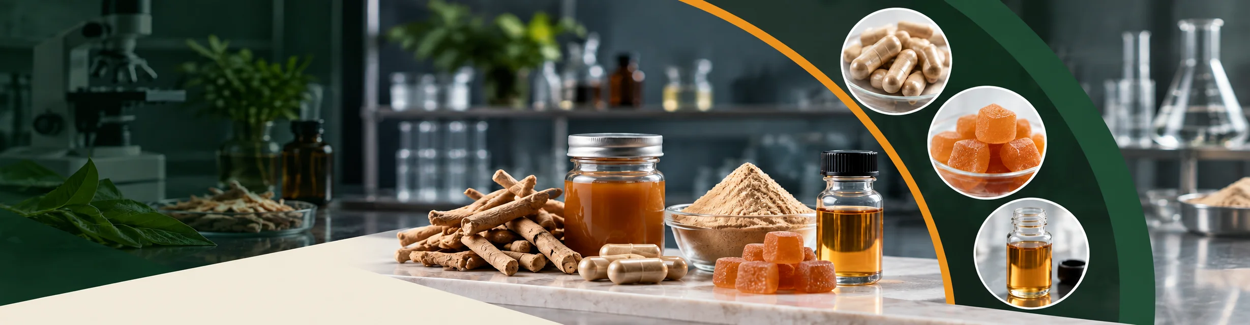 Ashwagandha Supplement Manufacturer: Capsule, Gummy, Powder and Liquid Options